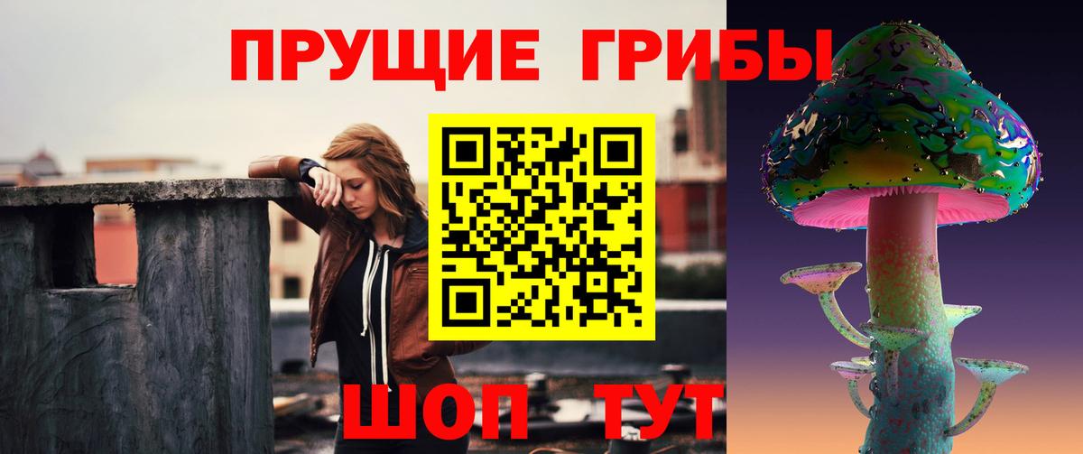 Галлюциногенные грибы GOLDEN TEACHER Северск